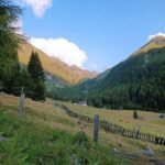 IMG_20240724_200501